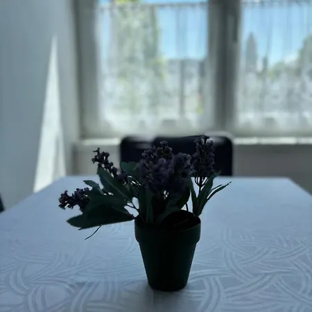 Apartment Am